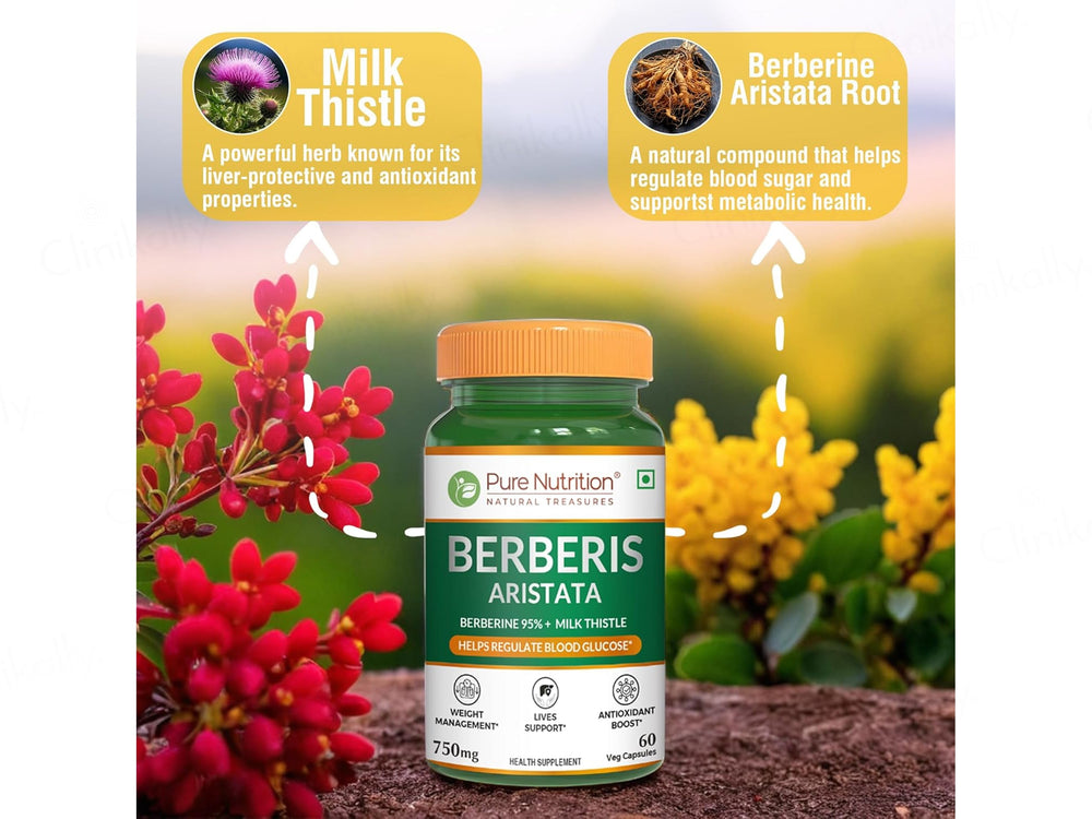 Pure Nutrition Berberis Aristata 750mg Veg Capsule