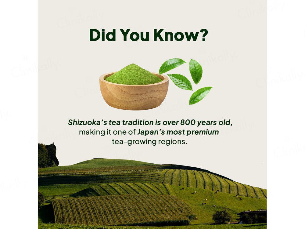 Miduty Matcha Tea Nutraceutical Powder